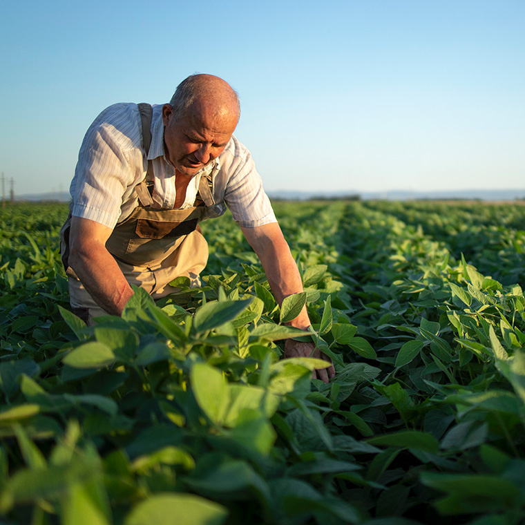 Für landwirtschaftliche Betriebe